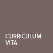Curriculum Vita (pdf)